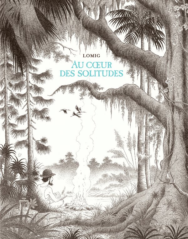 Au coeur des solitudes (BD)