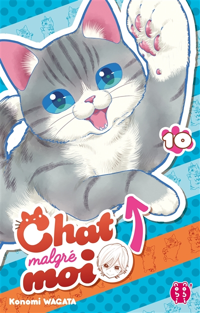 Chat malgré moi Tome 10 (Manga)