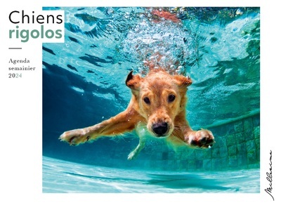 Semainier 2024 - Chiens rigolos (Broché)