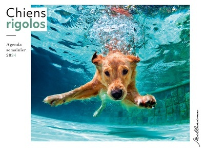 Semainier 2024 - Chiens rigolos (Broché)