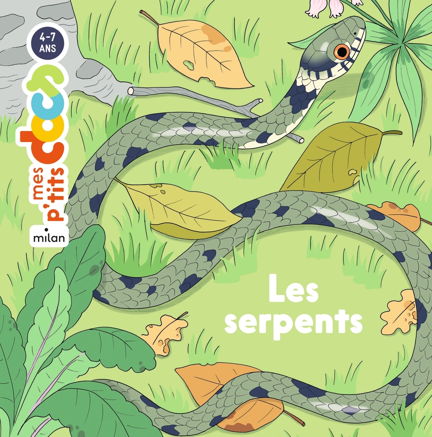 Les serpents (Cartonné)