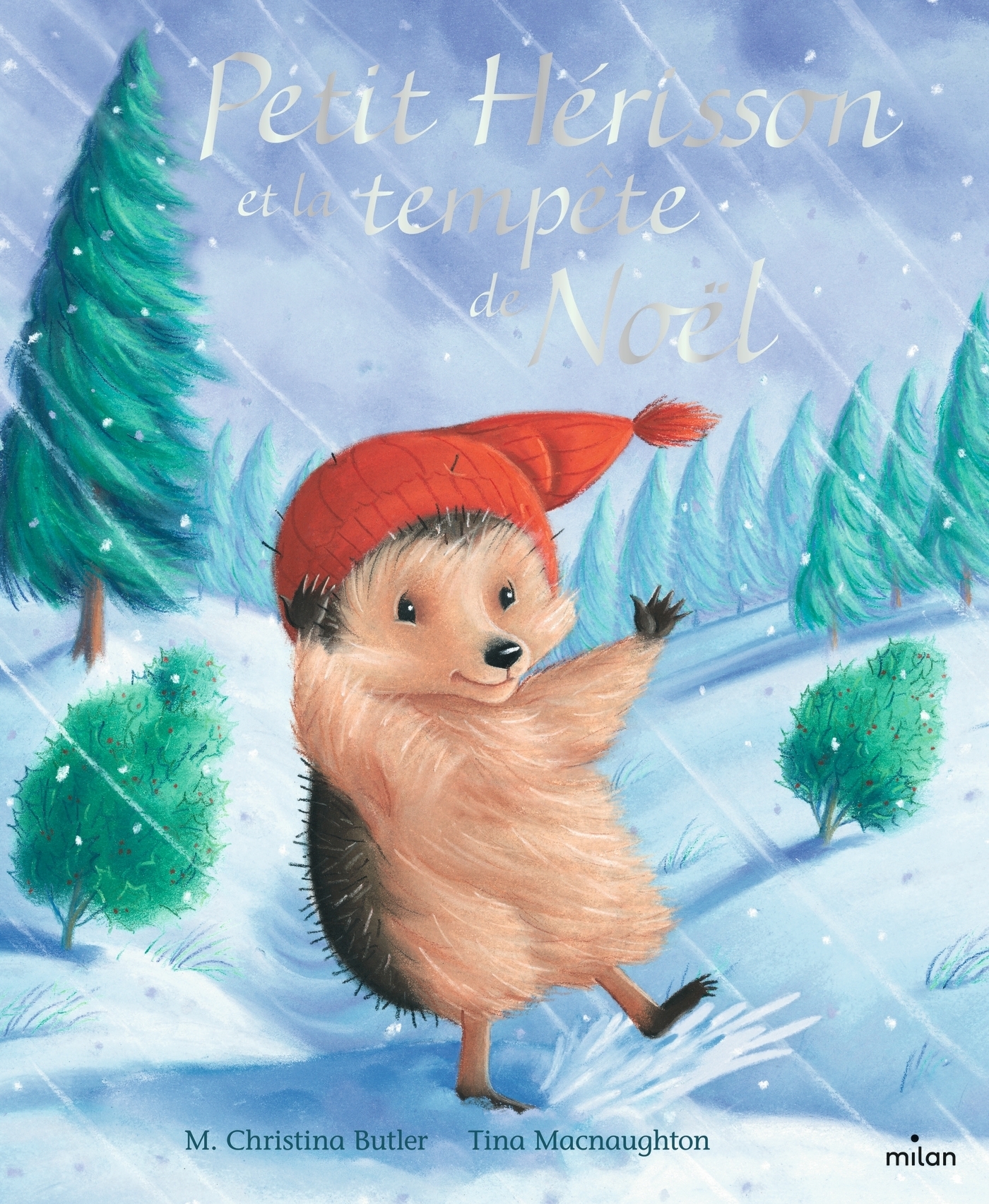 Petit Hérisson et la tempête de Noël (Cartonné)