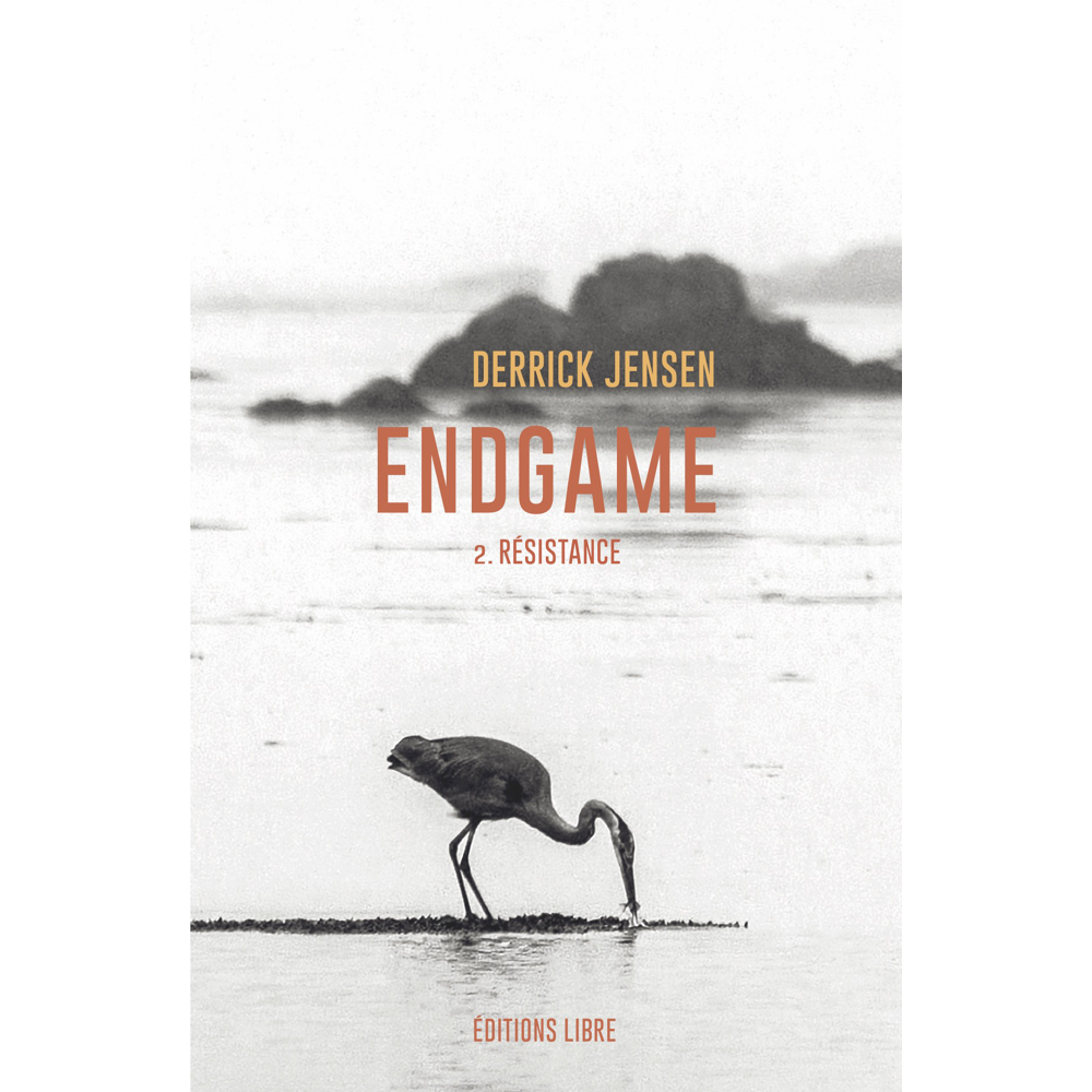 Endgame T02 - Résistance (t. 2) (Broché)