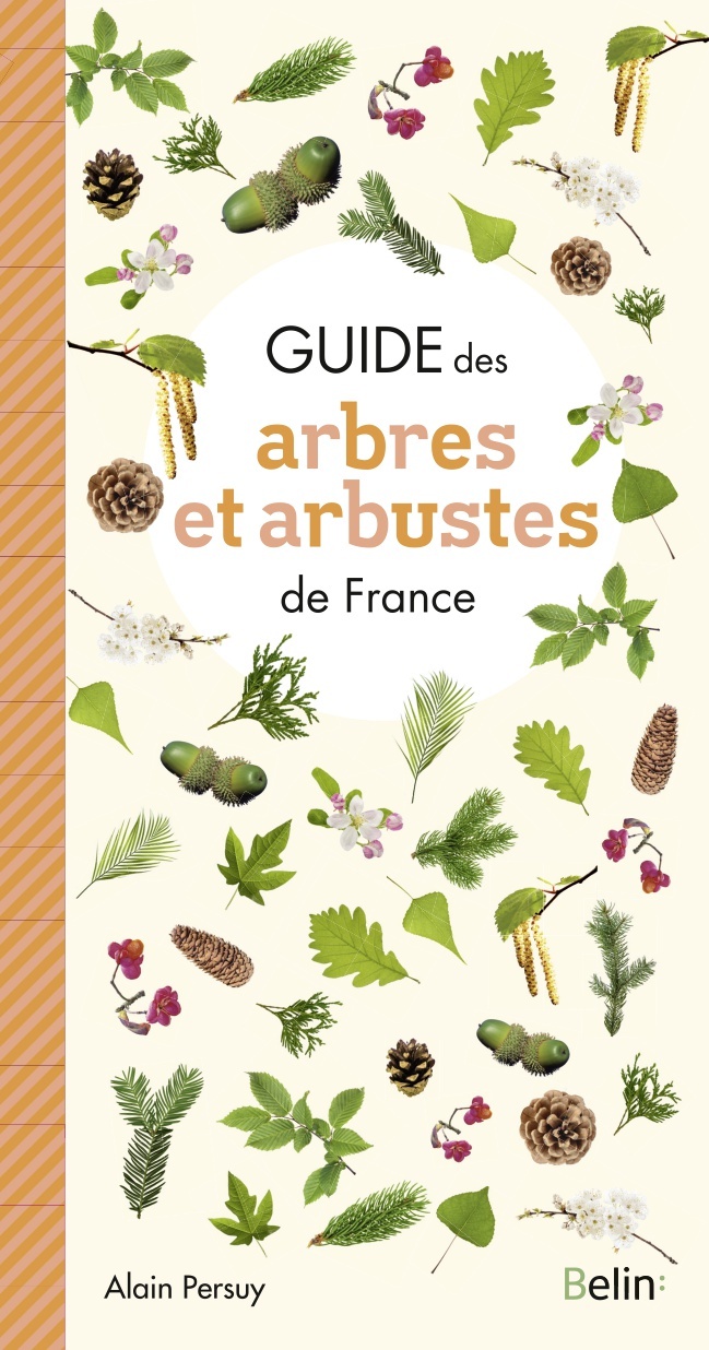 Guide des Arbres et Arbustes de France (Broché)