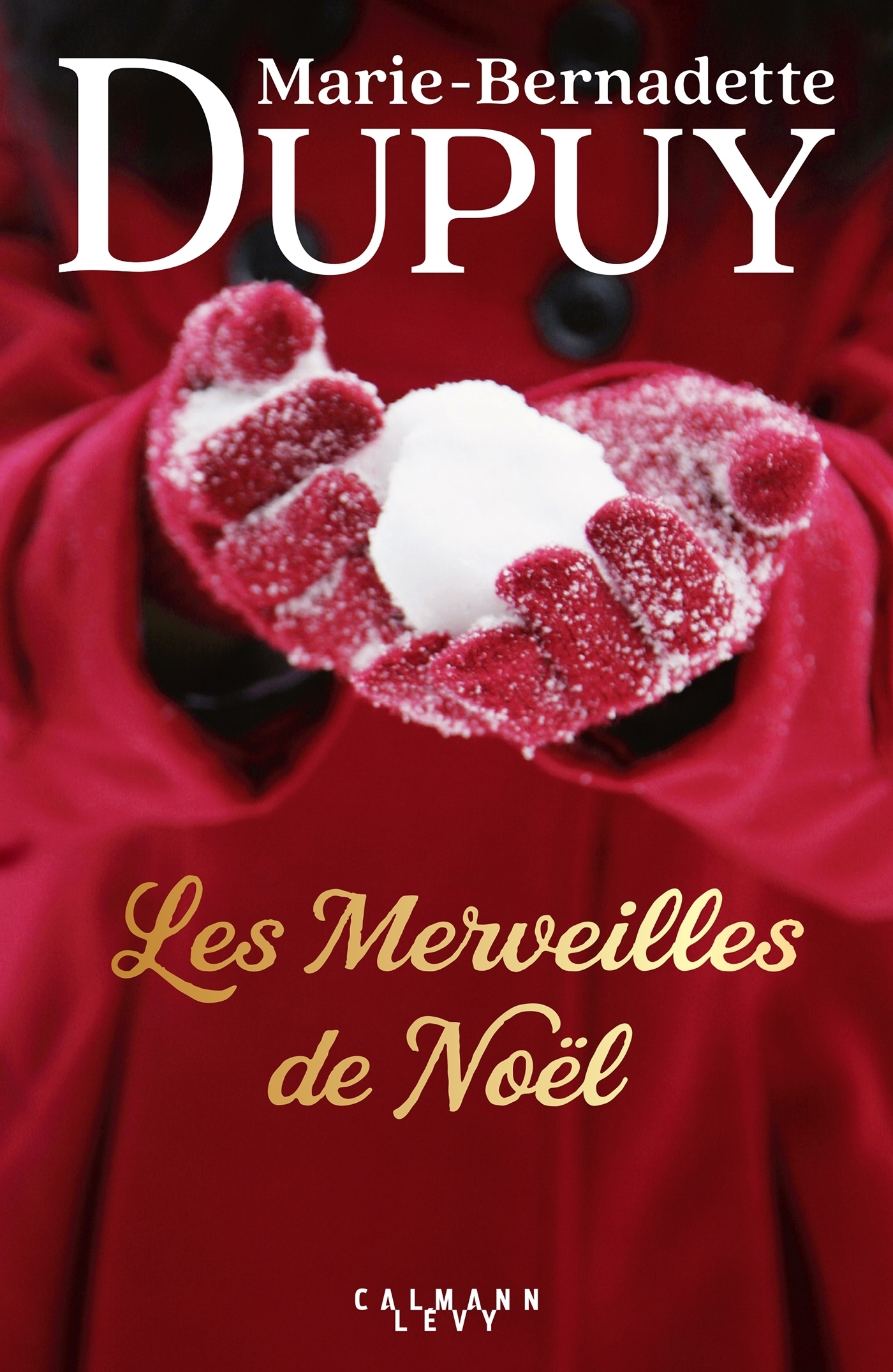 Les Merveilles de Noël (Broché)