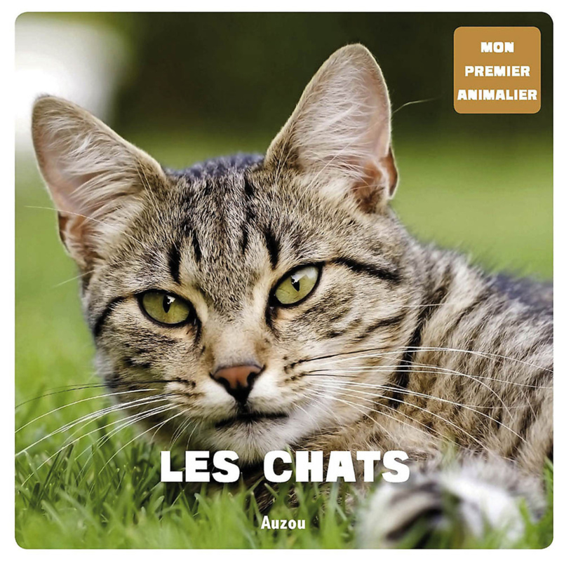 MON PREMIER ANIMALIER - LES CHATS (Jeunesse)