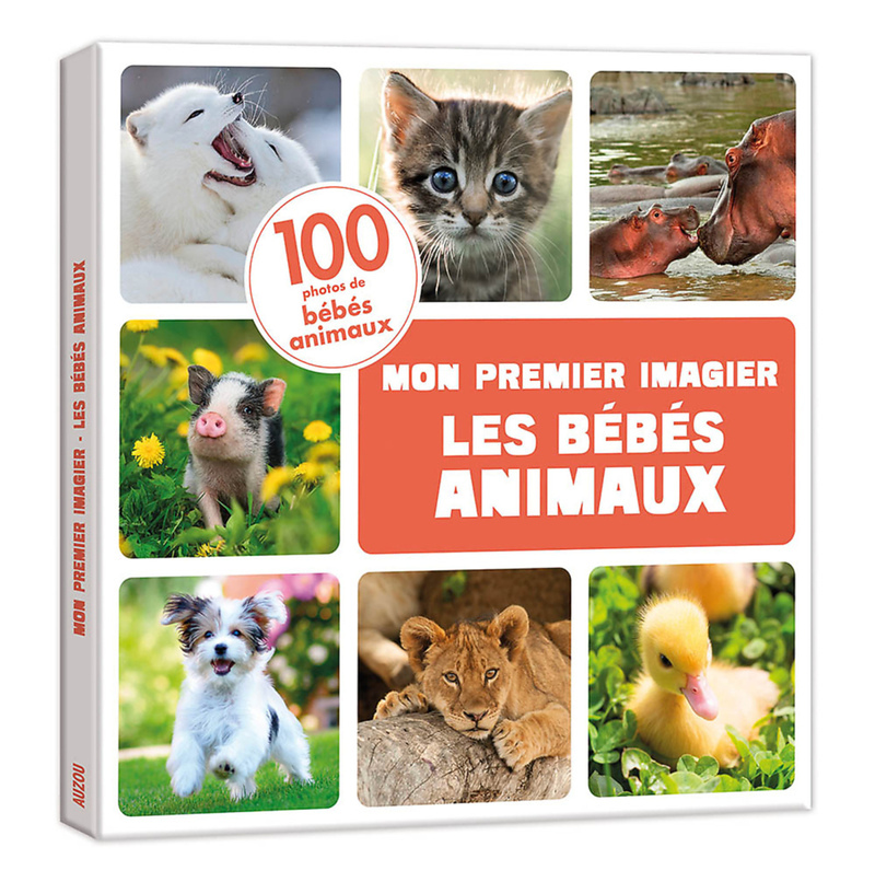 MON PREMIER ANIMALIER - LES BÉBÉS ANIMAUX (Jeunesse)