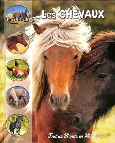 Les chevaux (Cartonné)