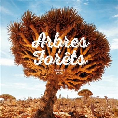 Calendrier mural arbres et forêts 2024 (Broché)