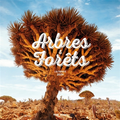 Calendrier mural arbres et forêts 2024 (Broché)