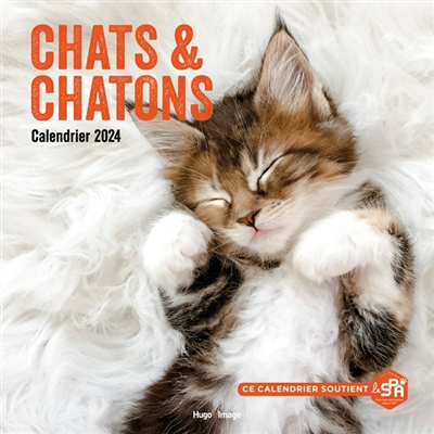 Calendrier mural chats et chatons 2024 (Broché)