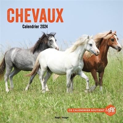 Calendrier mural chevaux 2024 (Broché)