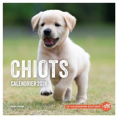 Calendrier mural chiots 2024 (Broché)