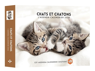 Agenda - Calendrier Chats et chatons 2024 (Etui)