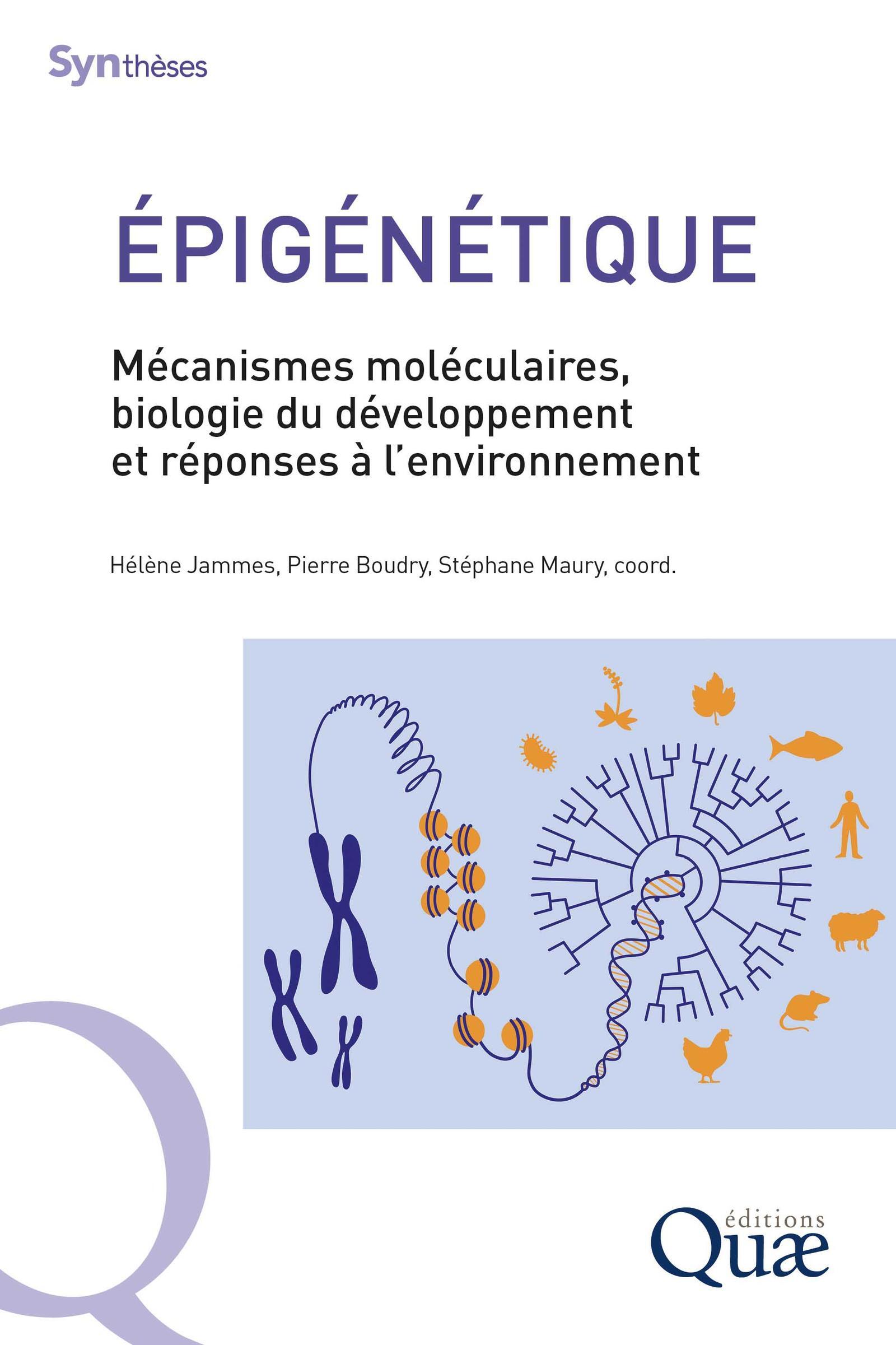 Épigénétique - Mécanismes moléculaires, développement et réponses à l'environnement (Broché)