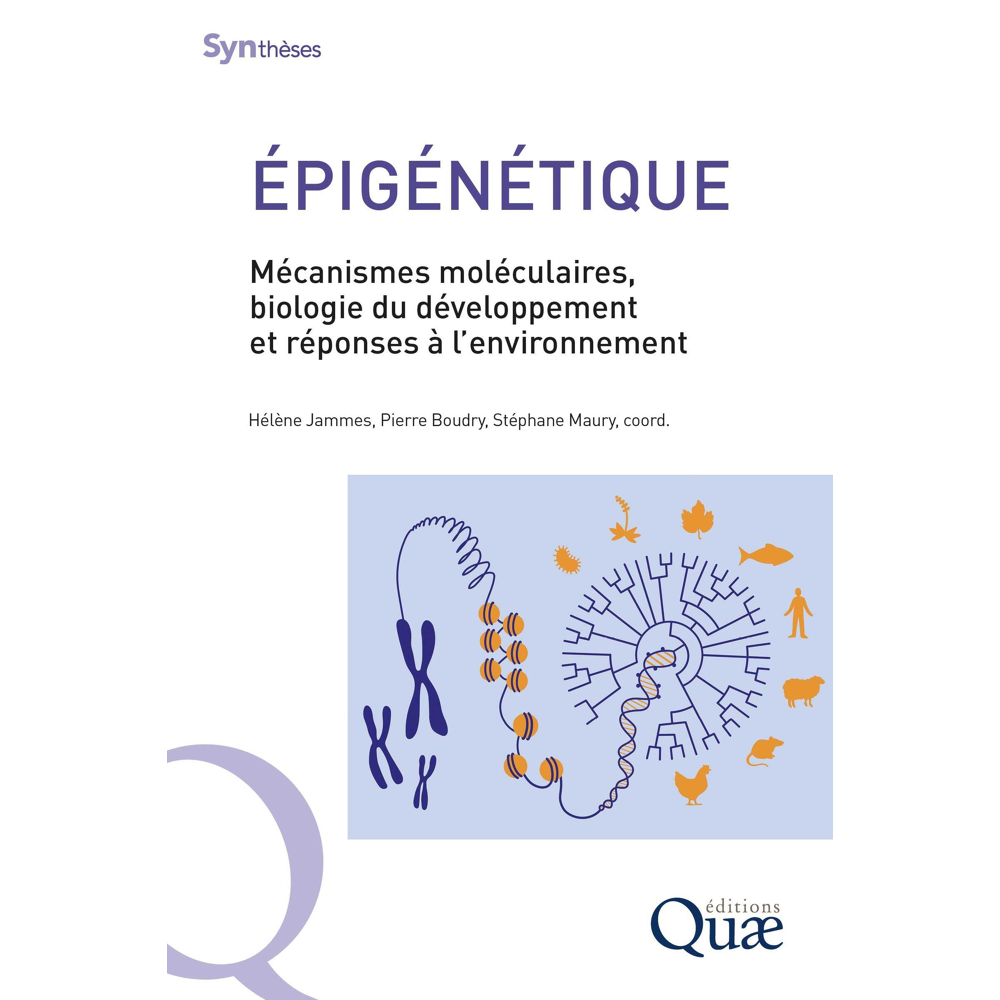 Épigénétique - Mécanismes moléculaires, développement et réponses à l'environnement (Broché)