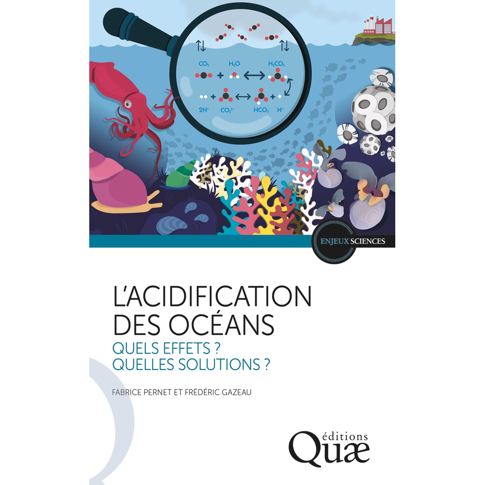 L'acidification des océans - Quels effets ? Quelles solutions ? (Poche)