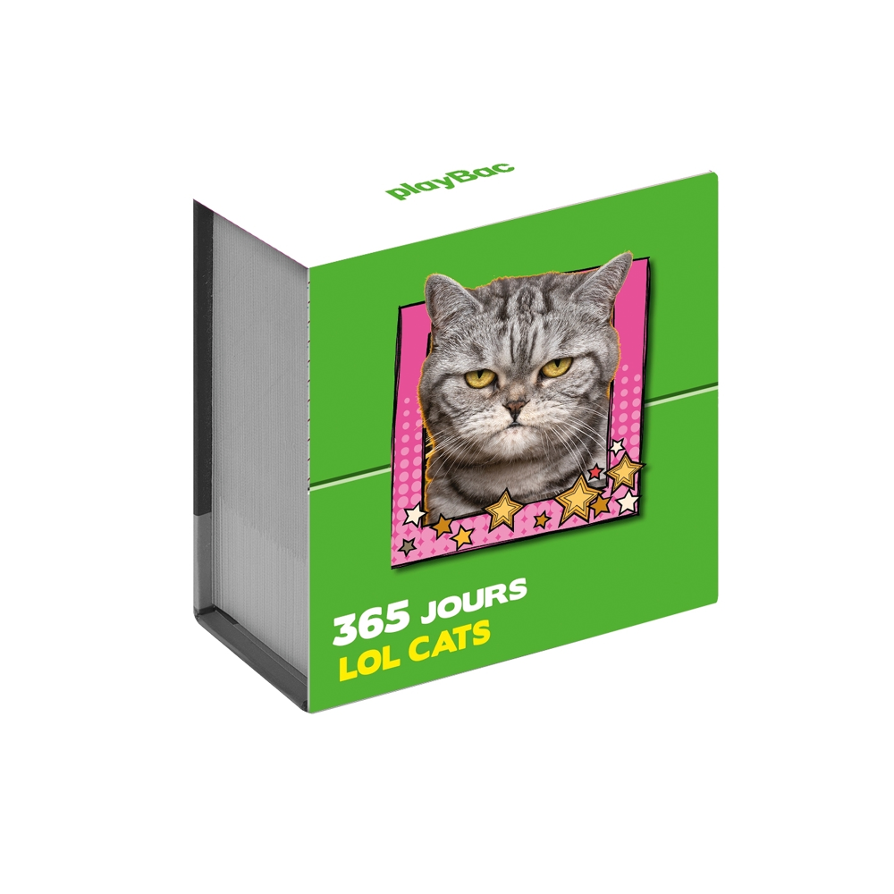 Mini calendrier 365 jours LOL Cats (Broché)