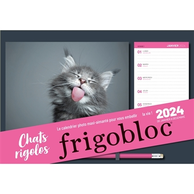 Frigobloc photos Chats rigolos 2024 (de janv. à déc. 2024) (Broché)