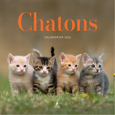 CALENDRIER CHATONS 2024 (Relié)