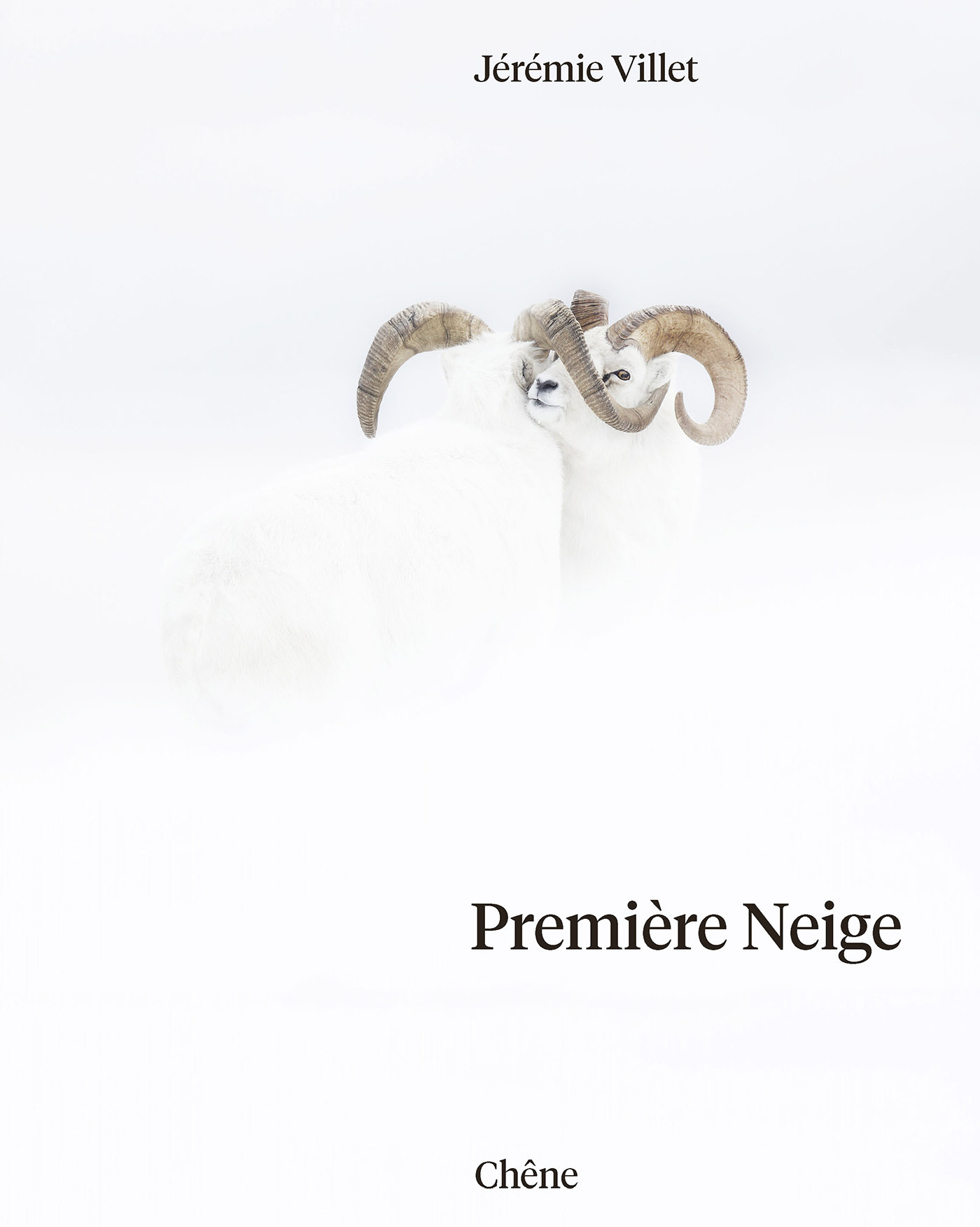 Première neige (Broché)
