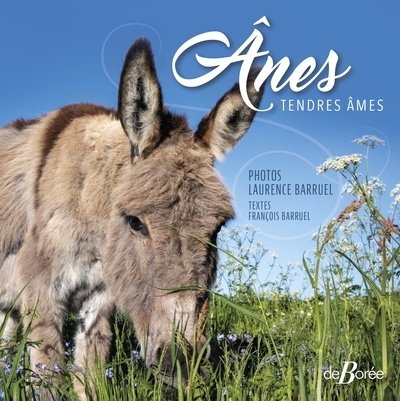 Ânes - Tendres âmes (Broché)