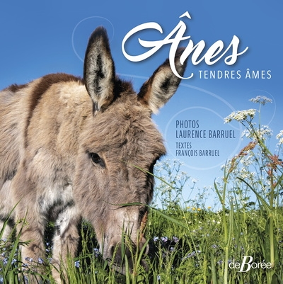 Ânes - Tendres âmes (Broché)