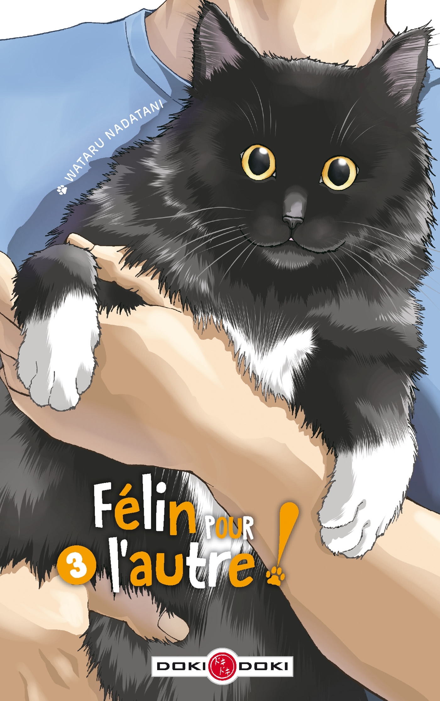 Félin pour l'autre ! - vol. 03 (Manga)