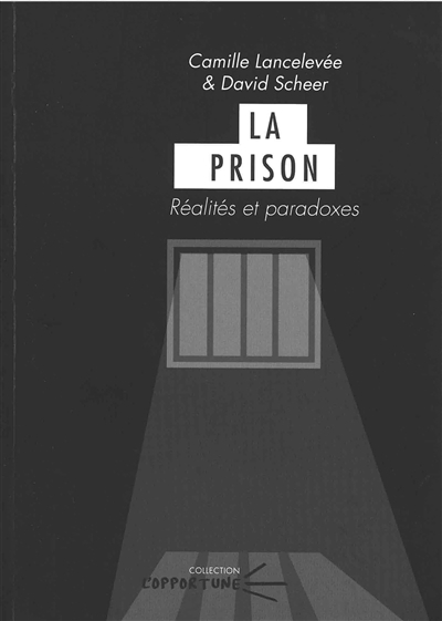 La prison - réalités et paradoxes (Broché)