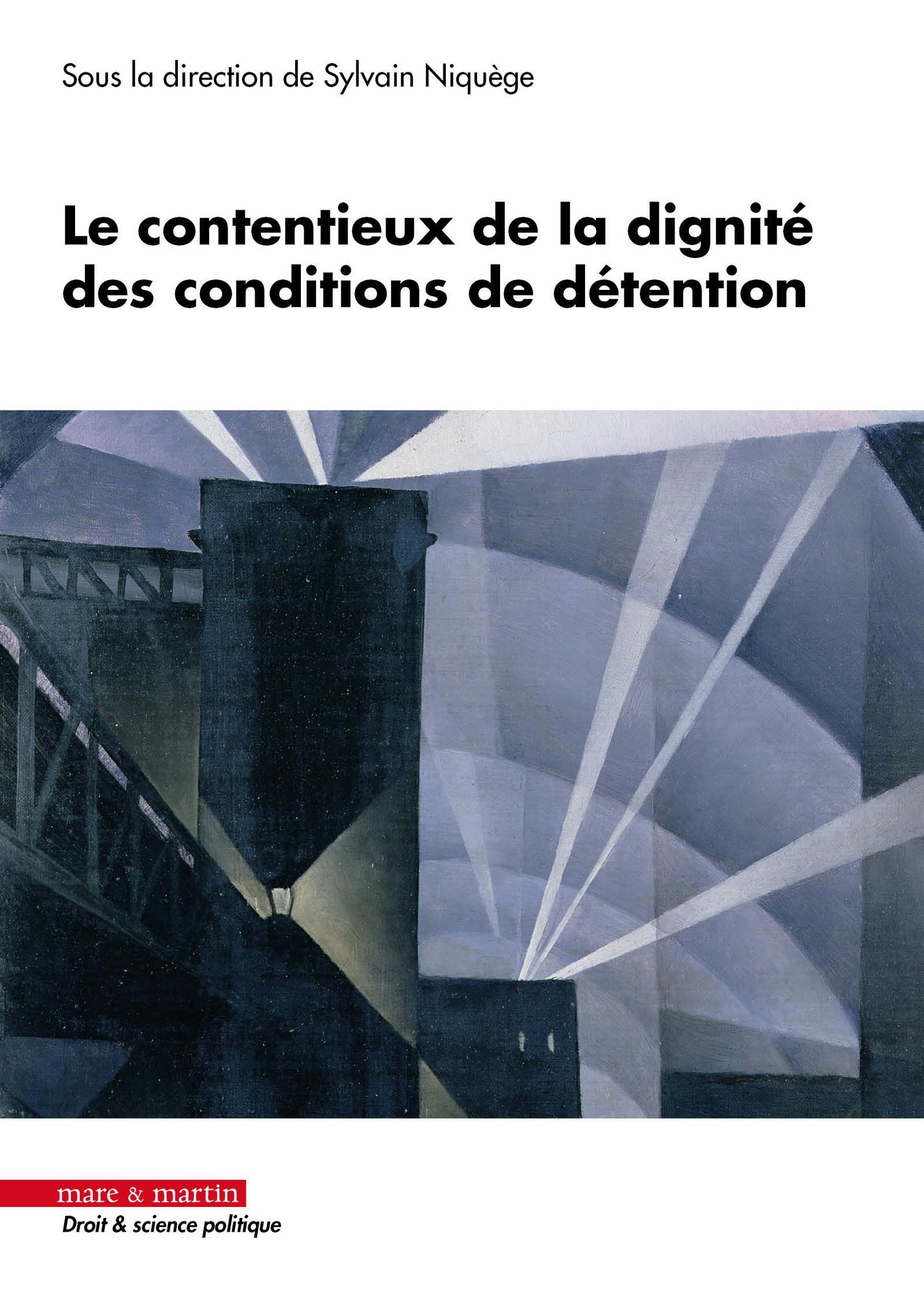 Le contentieux de la dignité des conditions de détention (Broché)