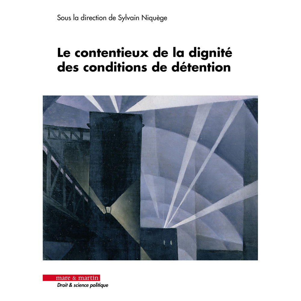 Le contentieux de la dignité des conditions de détention (Broché)
