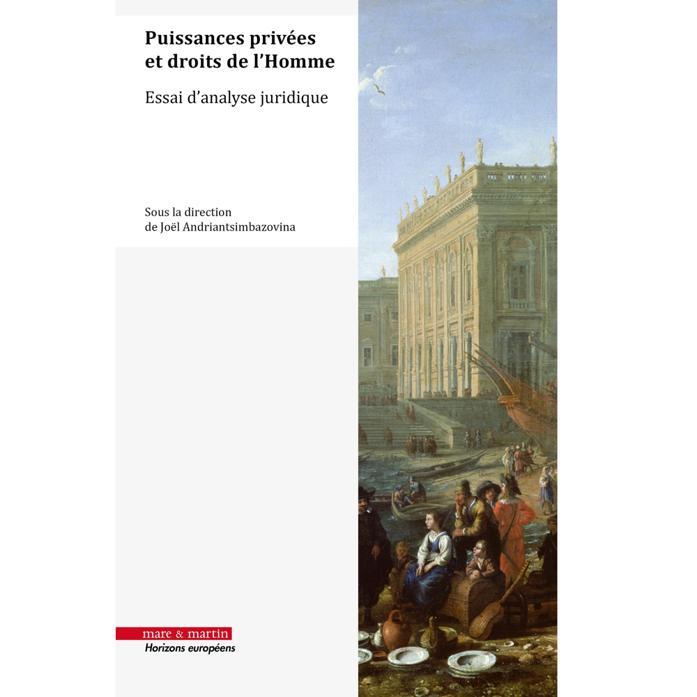 Puissances privées et droits de l'Homme - Essai d'analyse juridique (Broché)