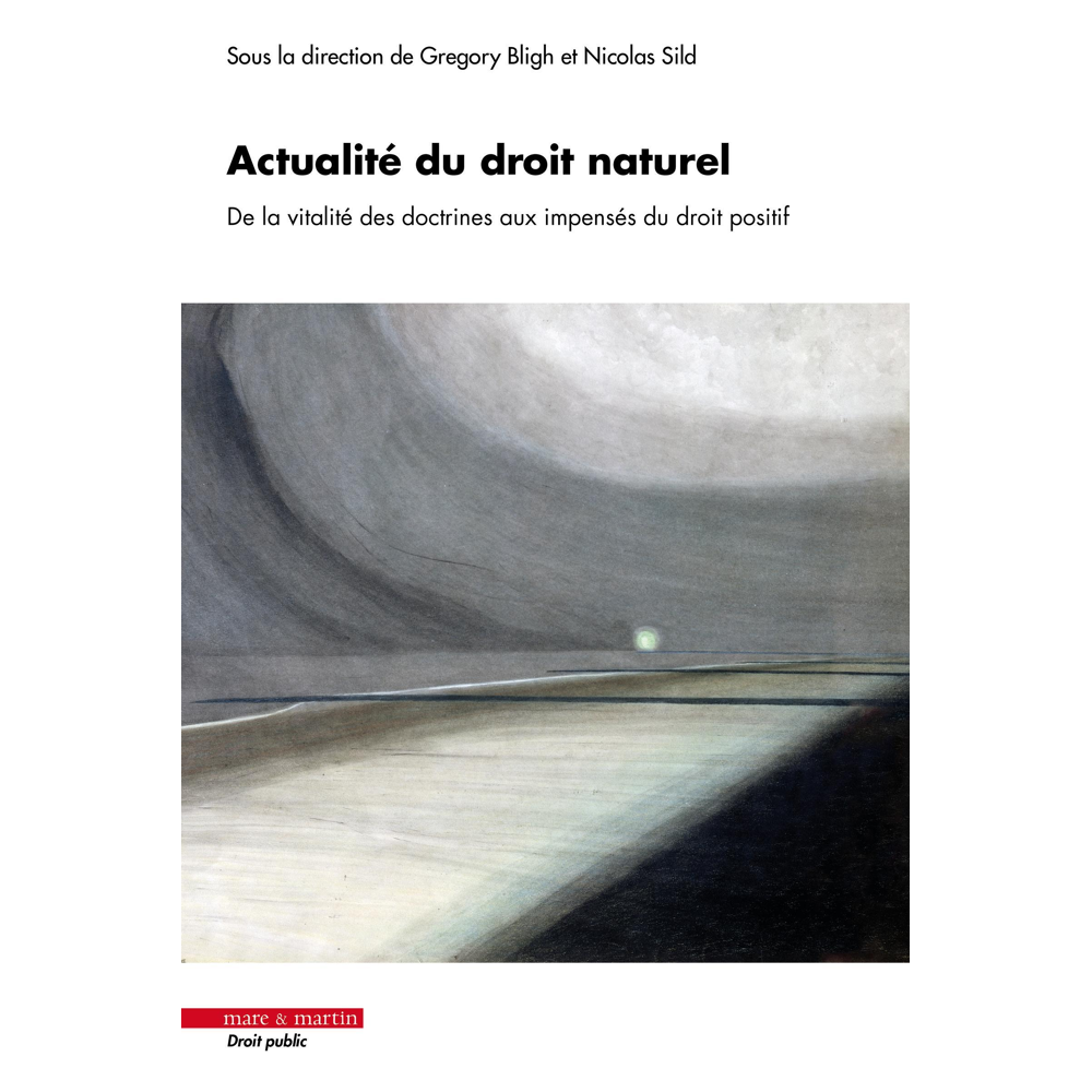 Actualité du droit naturel - De la vitalité des doctrines aux impensés du droit (Broché)
