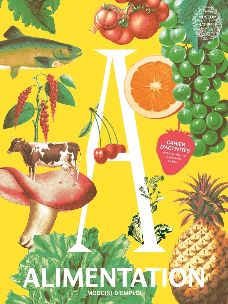 Alimentation mode(s) d'emploi - Cahiers d'activités - Cahier d'activités : affiche grand format, autocollants, pochoirs (Jeunesse)