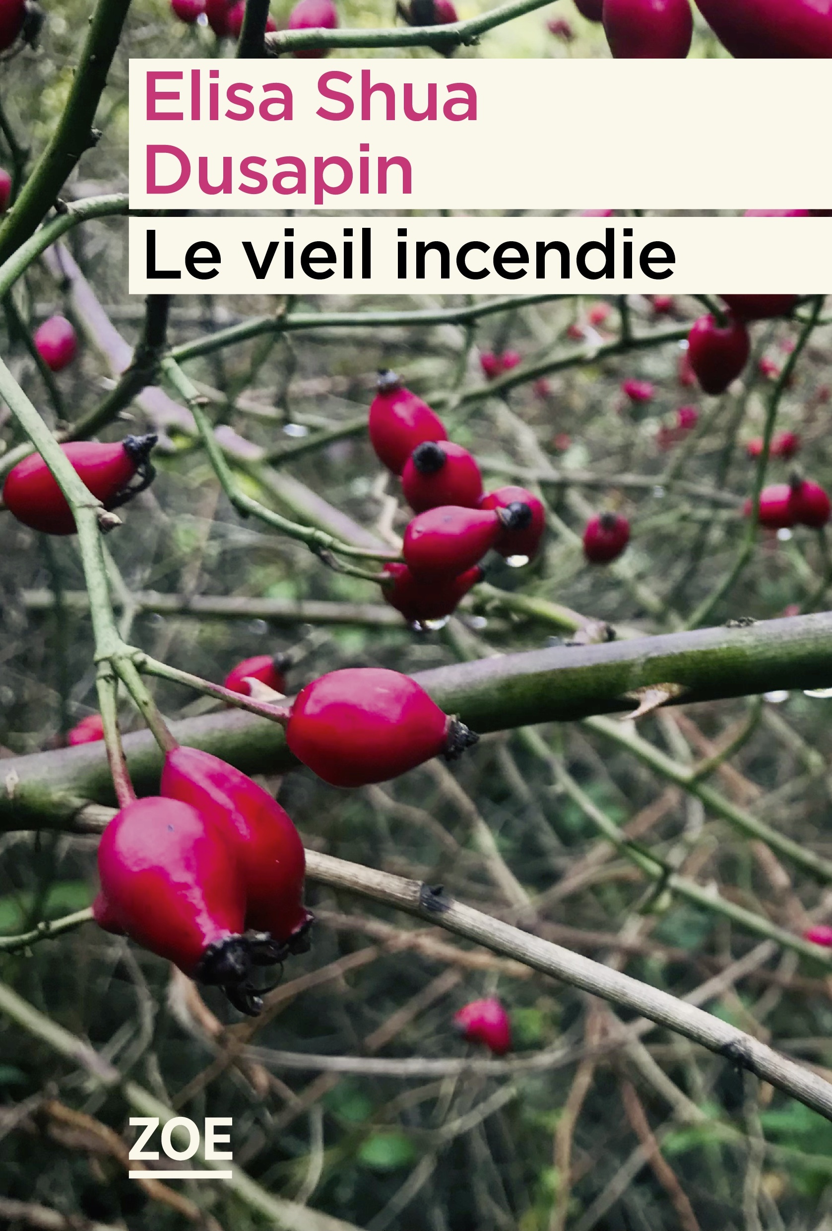 Le vieil incendie Prix Wepler Fondation La Poste 2023 (Broché)