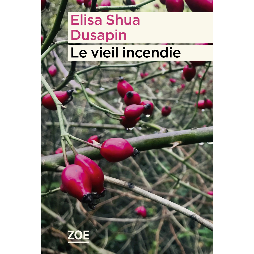 Le vieil incendie Prix Wepler Fondation La Poste 2023 (Broché)