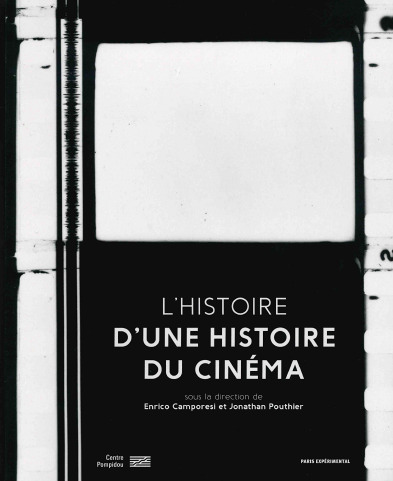 L'Histoire d'Une Histoire du cinéma (Broché)