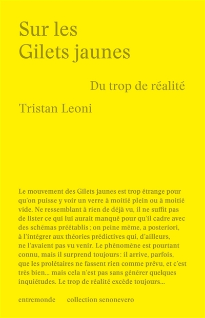 Sur les Gilets Jaunes - Du trop de réalité (Broché)