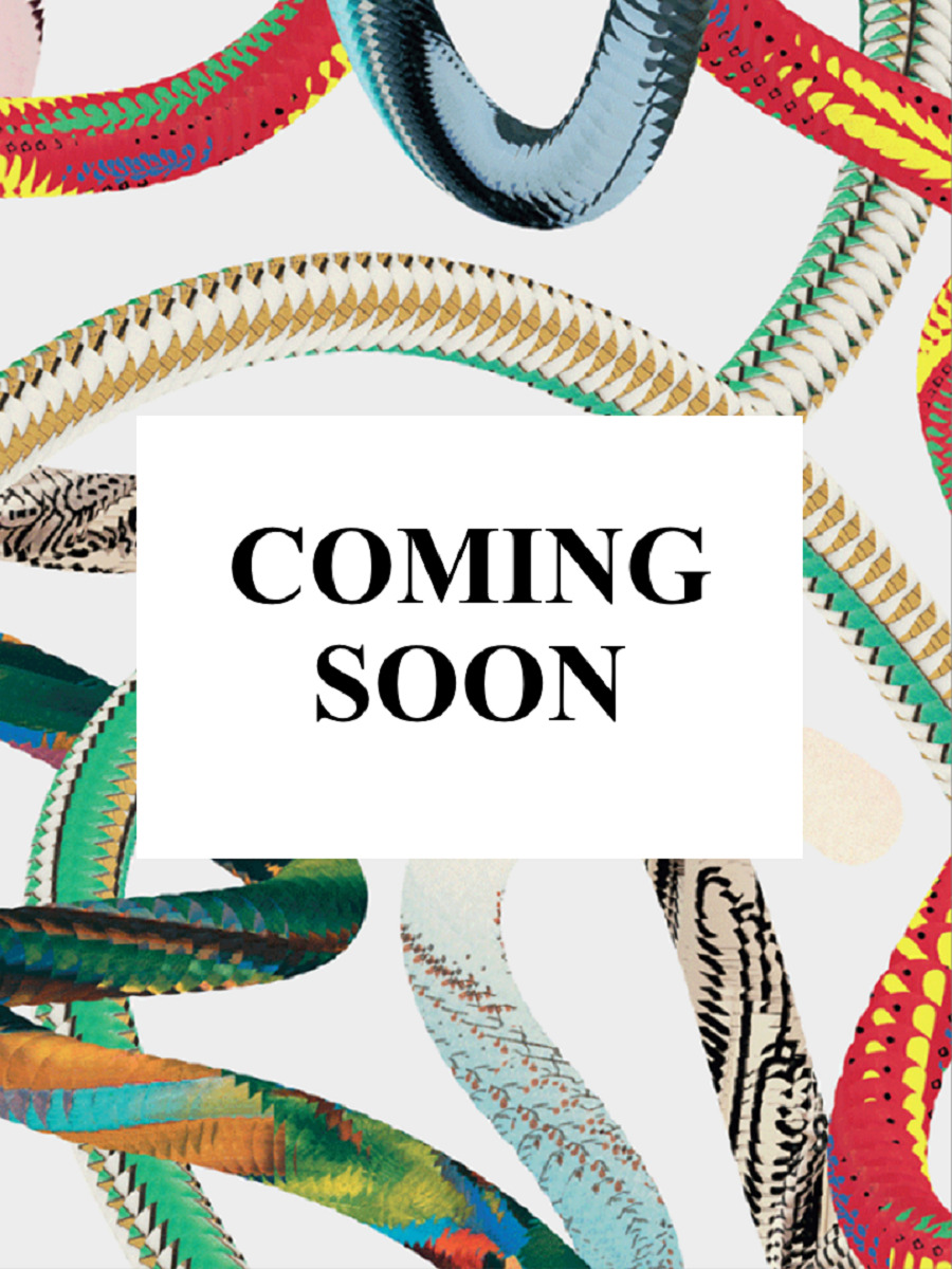 San Francisco. Portrait of a City (Broché)