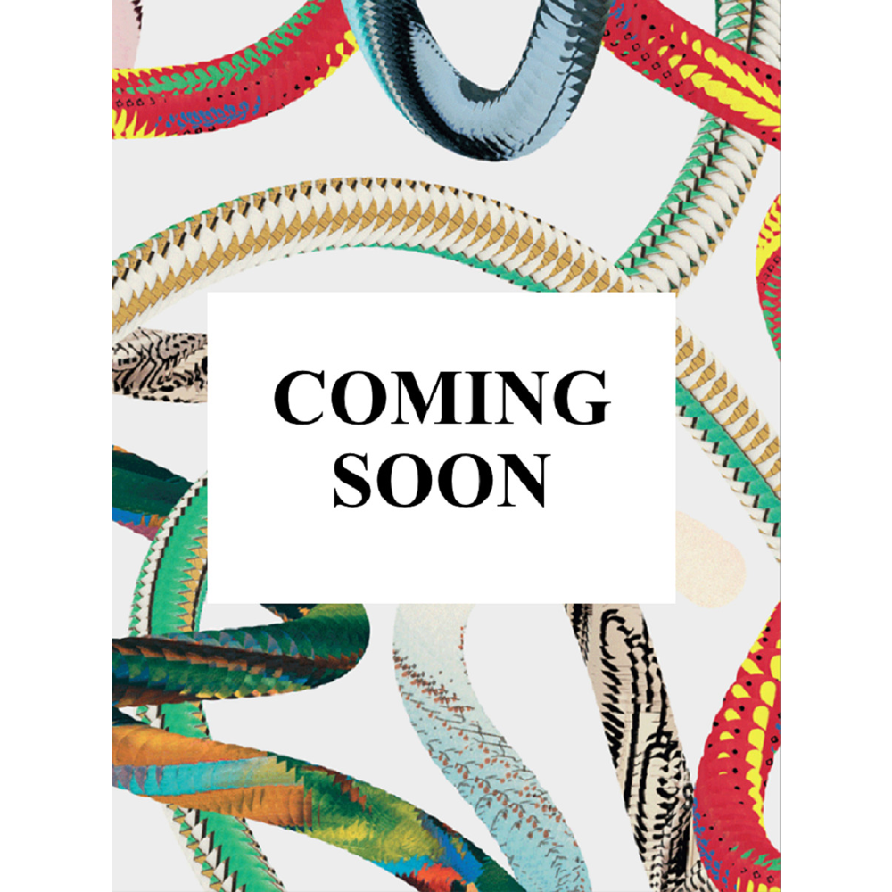 San Francisco. Portrait of a City (Broché)