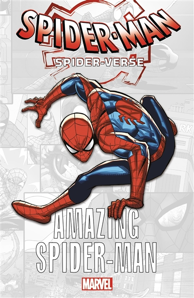 Marvel-Verse : Amazing Spider-Man (BD)