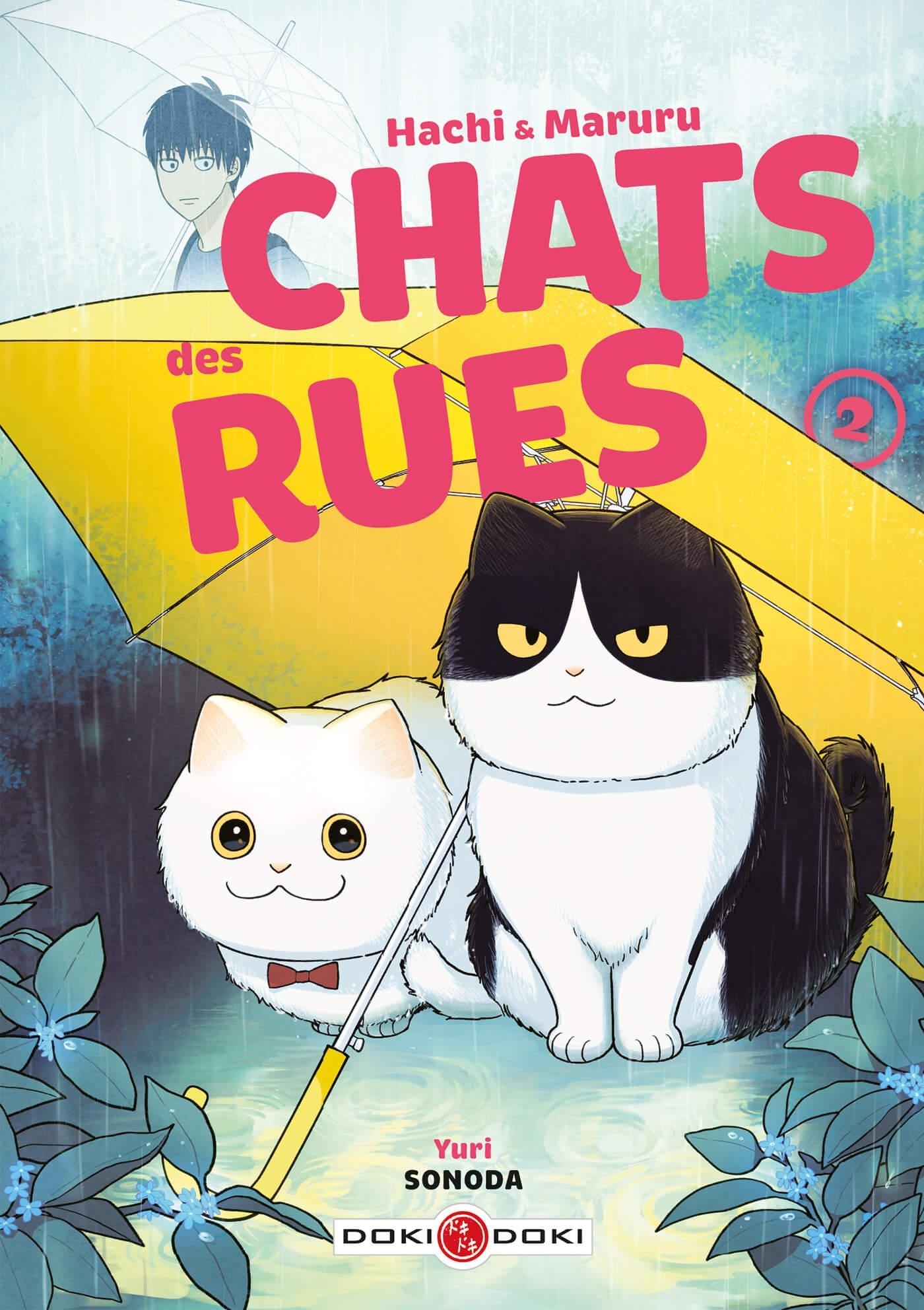 Hachi & Maruru - Chats des rues - vol. 02 (Manga)
