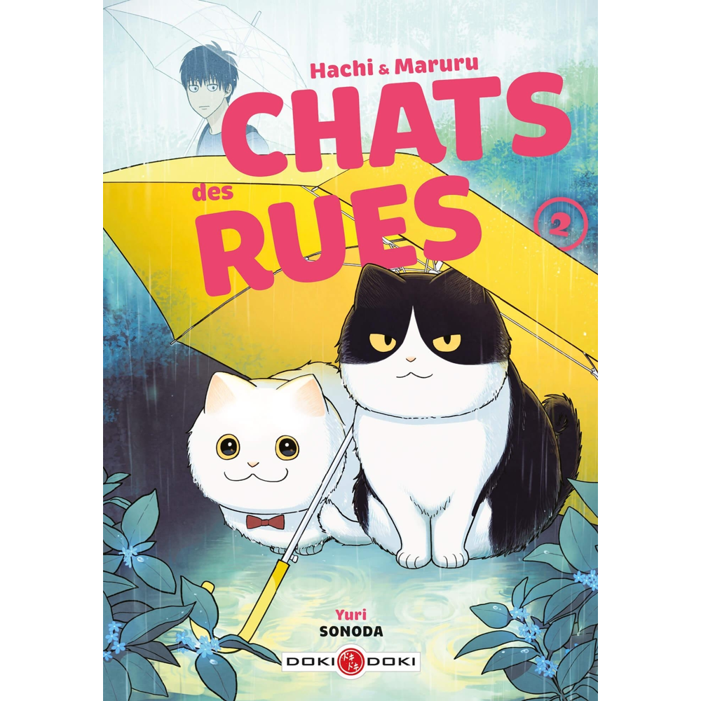 Hachi & Maruru - Chats des rues - vol. 02 (Manga)