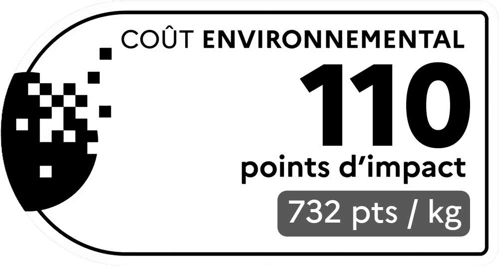 Coût environnemental : 110 points d'impact (détail : 732 pts / kg). Plus le score est bas, plus l'impact sur l'environnement est faible.