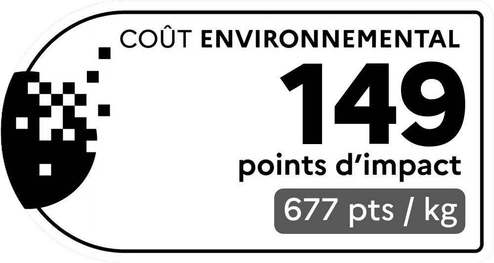 Coût environnemental : 124 points d'impact (détail : 156 pts / kg). Plus le score est bas, plus l'impact sur l'environnement est faible.