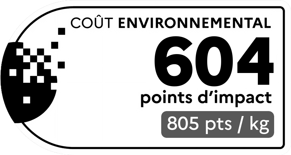 Coût environnemental : 169 points d'impact (détail : 844 pts / kg). Plus le score est bas, plus l'impact sur l'environnement est faible.