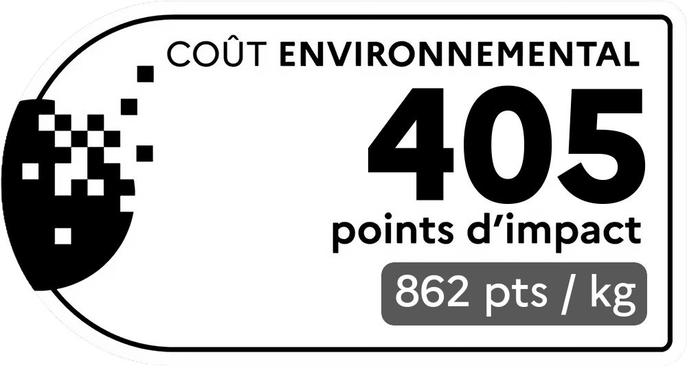 Coût environnemental : 405 points d'impact (détail : 862 pts / kg). Plus le score est bas, plus l'impact sur l'environnement est faible.