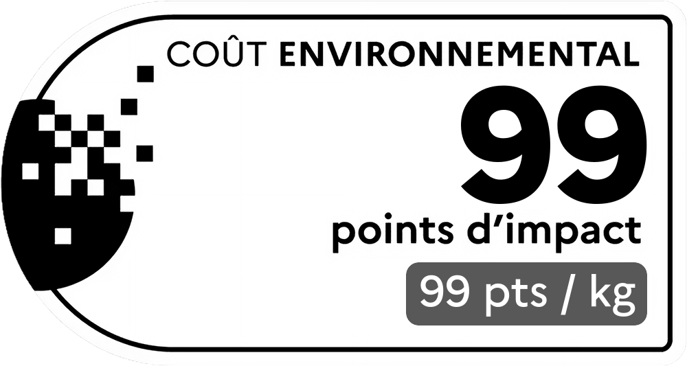 Coût environnemental : 509 points d'impact (détail : 1108 pts / kg). Plus le score est bas, plus l'impact sur l'environnement est faible.