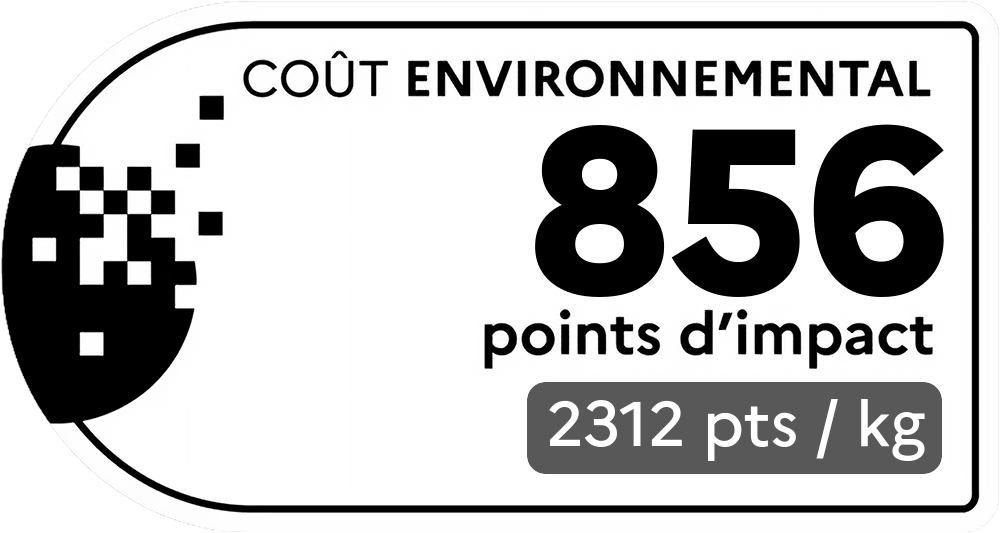 Coût environnemental : 91 points d'impact (détail : 466 pts / kg). Plus le score est bas, plus l'impact sur l'environnement est faible.